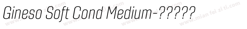 Gineso Soft Cond Medium字体转换